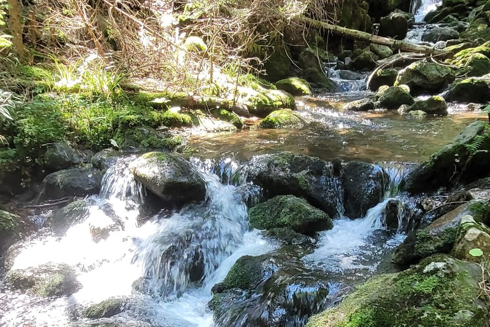 Wasserfall Černý potok | Foto: Hana Slavická,  Radio Prague International