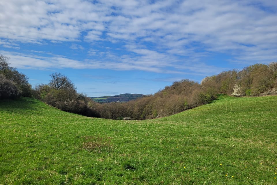 Es befand sich auf dem Plateau des Hradiště-Hügels in 380 m Höhe und nahm eine Fläche von 90, 3 ha ein. | Foto: Hana Slavická, Radio Prague International Es befand sich auf dem Plateau des Hradiště-Hügels in 380 m Höhe und nahm eine Fläche von 90, 3 ha ein. | Foto: Hana Slavická, Radio Prague International