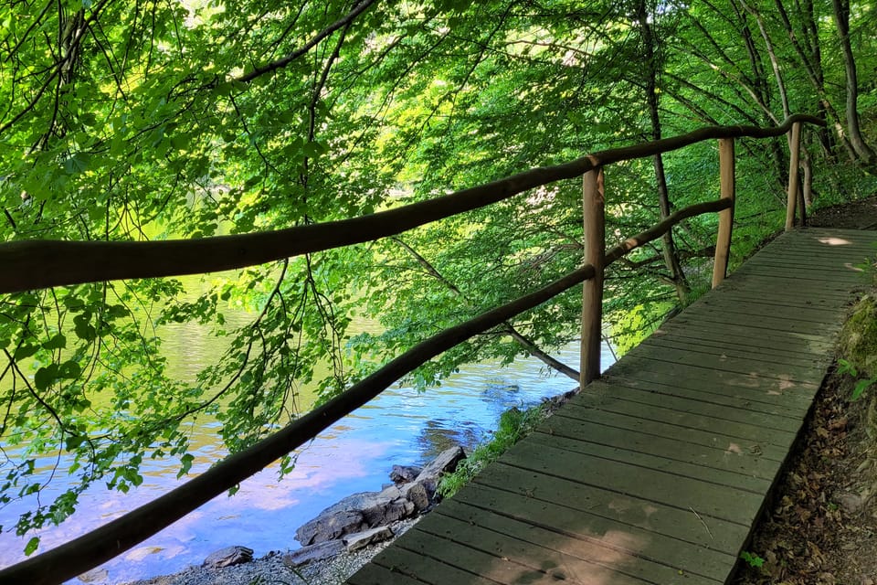 Der Naturlehrpfad Svatojánské proudy | Foto: Hana Slavická, Radio Prague International Der Naturlehrpfad Svatojánské proudy | Foto: Hana Slavická, Radio Prague International