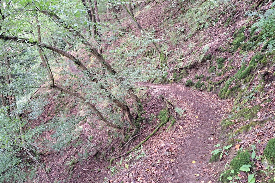 Der Weg von Skryje aus führt durch das Naturschutzgebiet entlang des Hügels oberhalb von Berounka. | Foto: Hana Slavická,  Radio Prague International