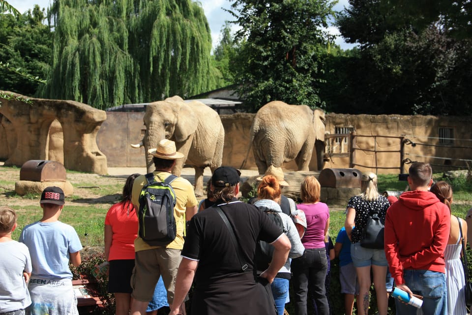 Zoo in Dvůr Králové | Foto: Barbora Němcová,  Radio Prague International