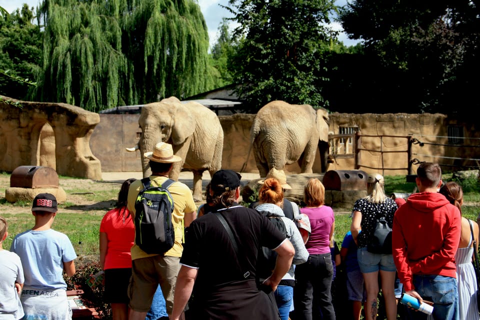 Zoo in Dvůr Králové | Foto: Barbora Němcová, Radio Prague International Zoo in Dvůr Králové | Foto: Barbora Němcová, Radio Prague International