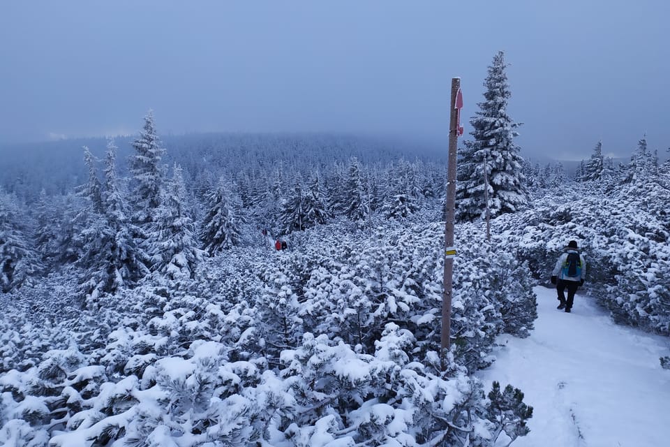 Winterabstieg von Sněžka | Foto: Barbora Němcová,  Radio Prague International