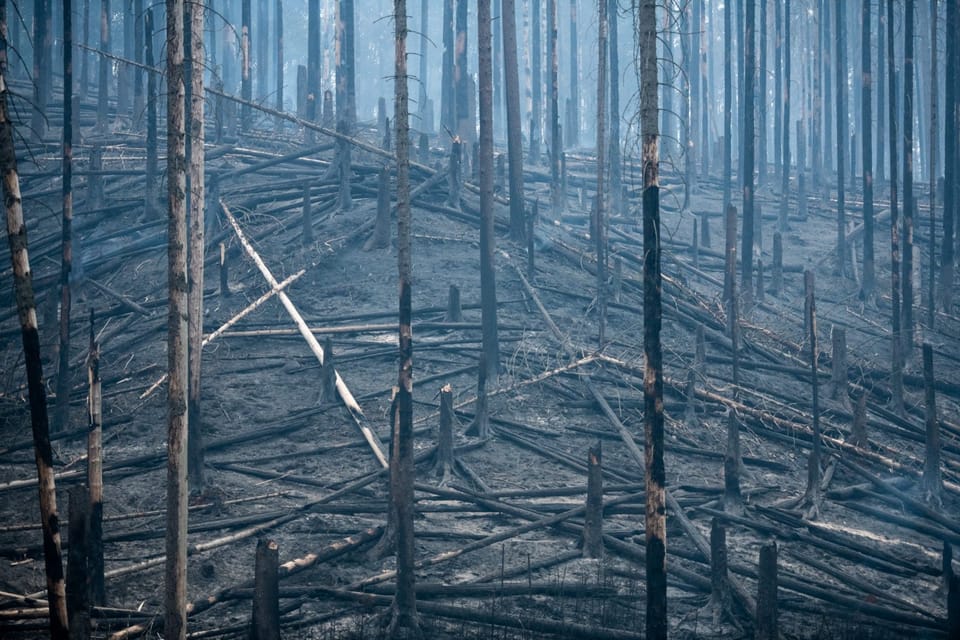 Foto: René Volfík,  Tschechischer Rundfunk