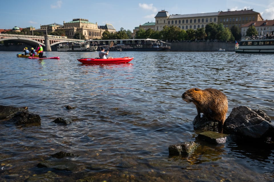 Foto: Zuzana Jarolímková, iROZHLAS.cz Foto: Zuzana Jarolímková, iROZHLAS.cz