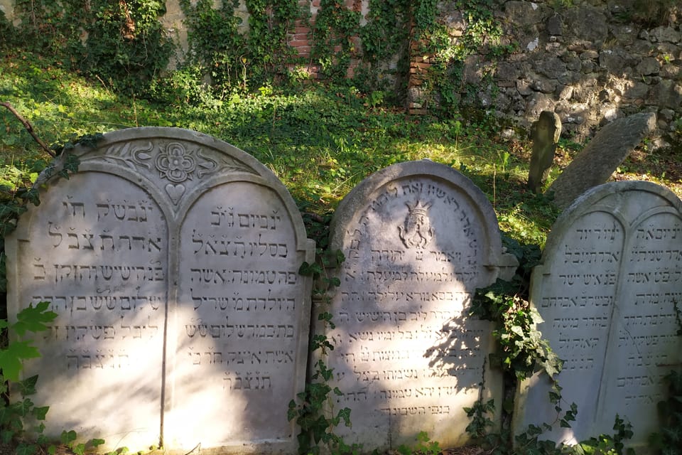 Der jüdische Friedhof | Foto: Magdalena Hrozínková,  Radio Prague International