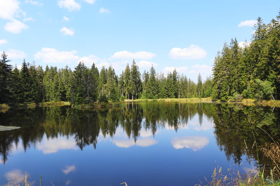 Slavkovský les | Foto: Naďa Krásná, Tschechischer Rundfunk Slavkovský les | Foto: Naďa Krásná, Tschechischer Rundfunk