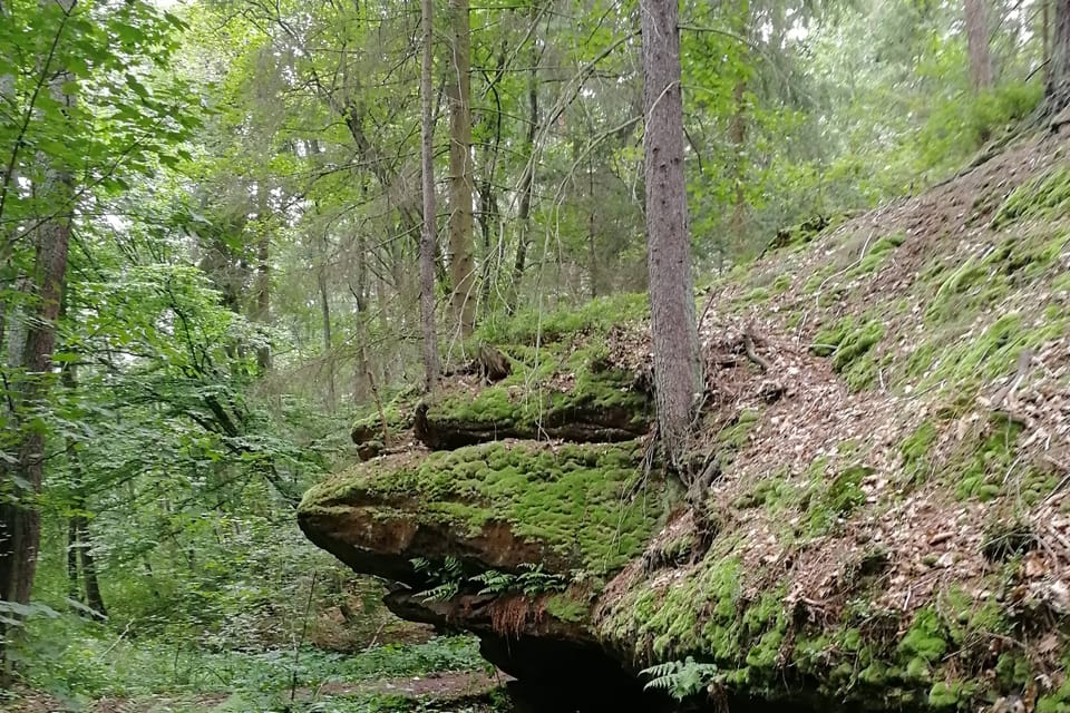 Nationales Naturdenkmal Peklo / Höllengrund (Foto: Štěpánka Budková) Nationales Naturdenkmal Peklo / Höllengrund (Foto: Štěpánka Budková)