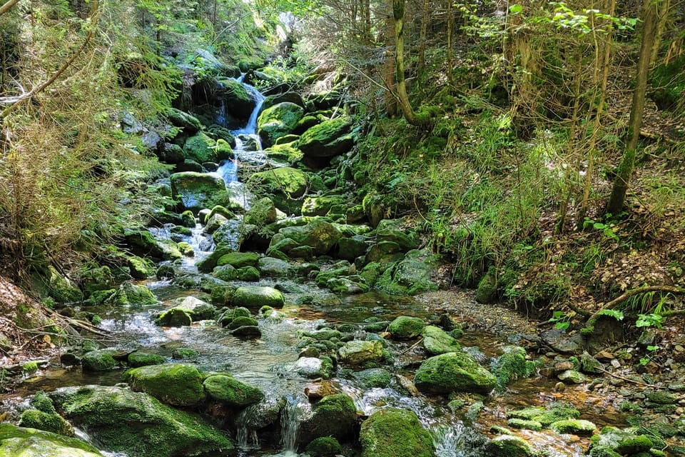 Wasserfall Černá strž | Foto: Hana Slavická, Radio Prague International Wasserfall Černá strž | Foto: Hana Slavická, Radio Prague International