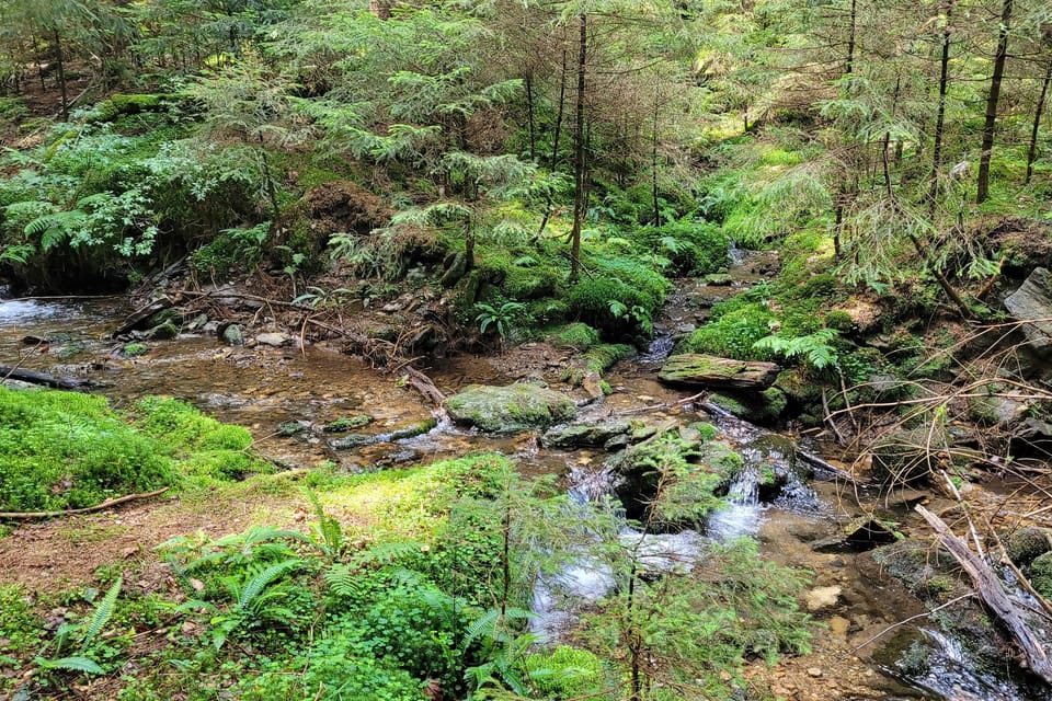 Wasserfall Lukášovy vodopády | Foto: Hana Slavická, Radio Prague International Wasserfall Lukášovy vodopády | Foto: Hana Slavická, Radio Prague International