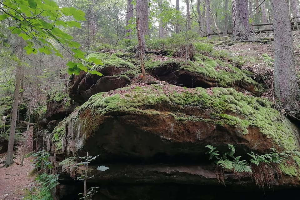 Nationales Naturdenkmal Peklo / Höllengrund  (Foto: Štěpánka Budková)