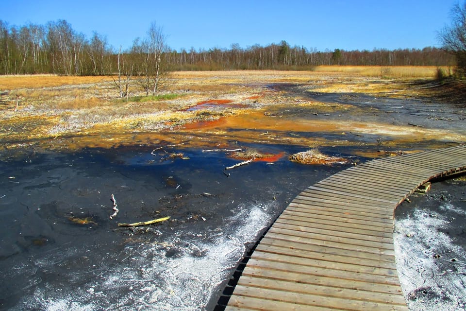 Nationales Naturschutzgebiet SOOS bei Františkovy lázně | Foto: Pavel Halla, Tschechischer Rundfunk Nationales Naturschutzgebiet SOOS bei Františkovy lázně | Foto: Pavel Halla, Tschechischer Rundfunk
