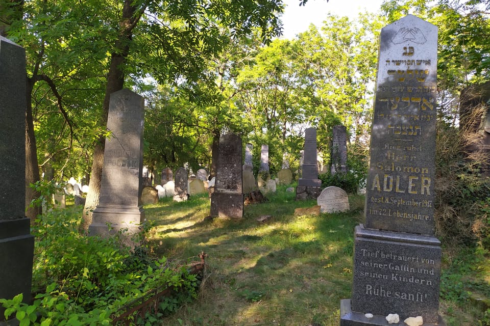 Der jüdische Friedhof | Foto: Magdalena Hrozínková,  Radio Prague International