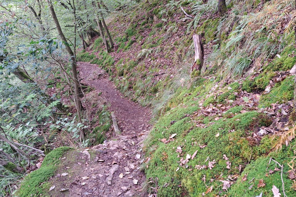 Der Weg von Skryje aus führt durch das Naturschutzgebiet entlang des Hügels oberhalb von Berounka. | Foto: Hana Slavická, Radio Prague International Der Weg von Skryje aus führt durch das Naturschutzgebiet entlang des Hügels oberhalb von Berounka. | Foto: Hana Slavická, Radio Prague International