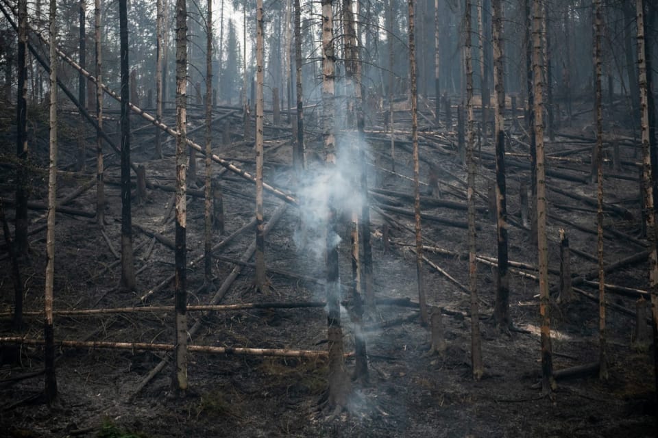 Foto: René Volfík,  Tschechischer Rundfunk