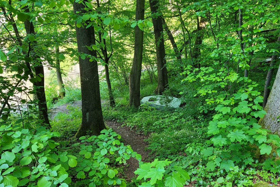 Tramp-Siedlung Verlorene Hoffnung  (Osada Ztracená naděje) | Foto: Hana Slavická,  Radio Prague International
