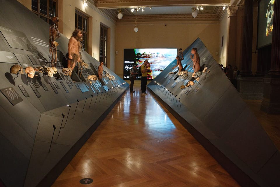 Ausstellung Menschen und ihre Vorfahren | Foto: Barbora Navrátilová,  Radio Prague International