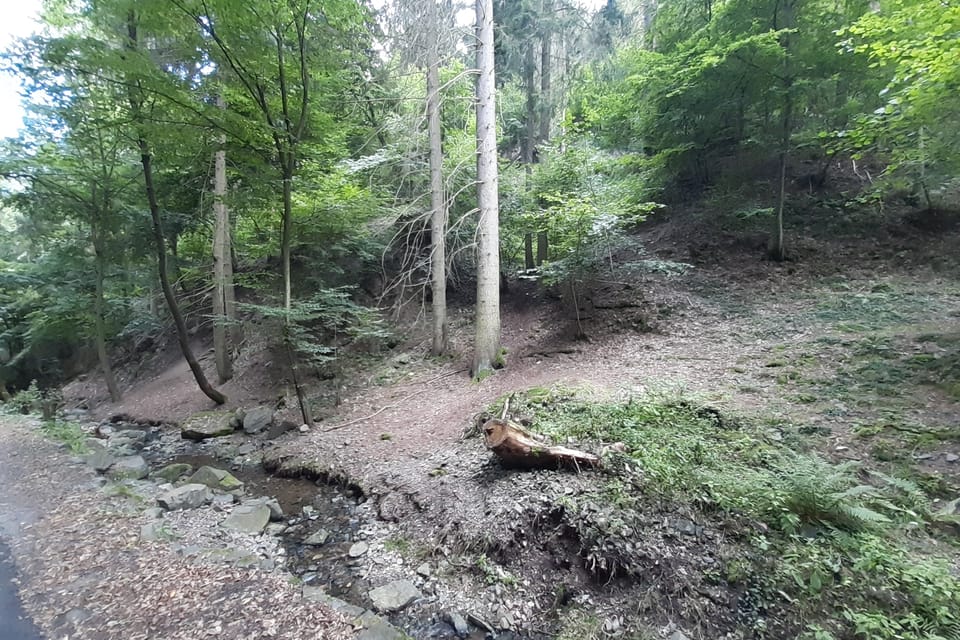 Der Studenský-Bach durchquert die Goldader von Kocour. Hier wurde in der Vergangenheit die größte Menge des Edelmetalls abgebaut.  | Foto: Hana Slavická,  Radio Prague International