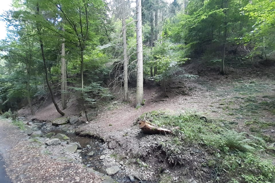 Der Studenský-Bach durchquert die Goldader von Kocour. Hier wurde in der Vergangenheit die größte Menge des Edelmetalls abgebaut. | Foto: Hana Slavická, Radio Prague International Der Studenský-Bach durchquert die Goldader von Kocour. Hier wurde in der Vergangenheit die größte Menge des Edelmetalls abgebaut. | Foto: Hana Slavická, Radio Prague International