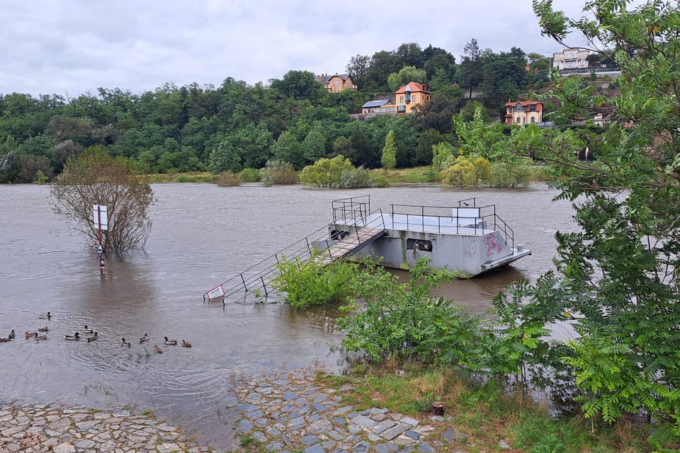 Vltava | Foto: Hana Slavická,  Radio Prague International