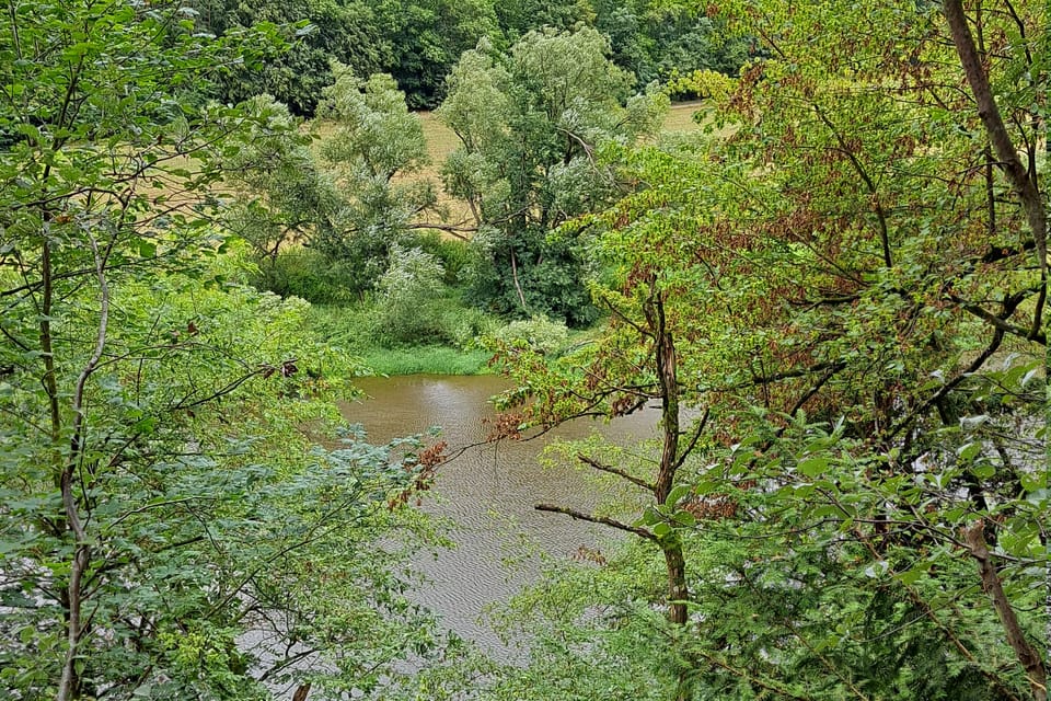 Blick auf den Fluss Berounka vom Naturlehrpfad Skryjský luh aus. | Foto: Hana Slavická, Radio Prague International Blick auf den Fluss Berounka vom Naturlehrpfad Skryjský luh aus. | Foto: Hana Slavická, Radio Prague International