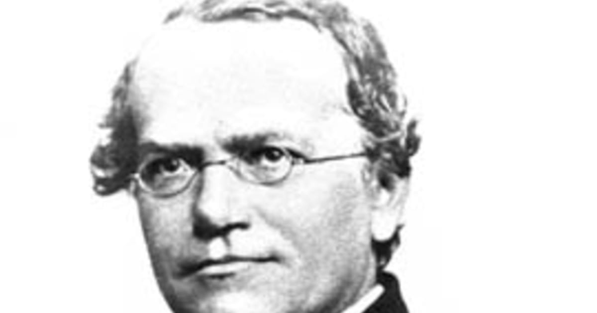 Vater Der Genetik Zum 185 Geburtstag Von Johann Gregor Mendel Radio Prague International