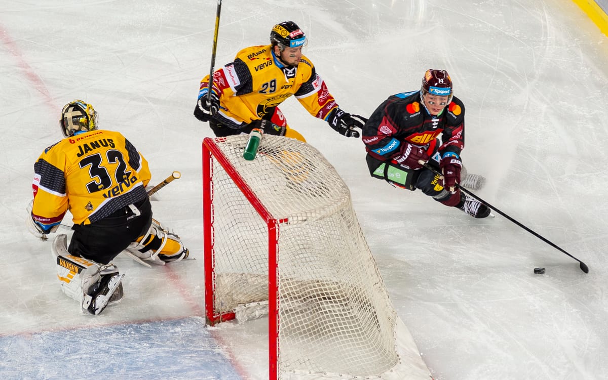 Tschechische Eishockey Liga Prasentiert Sich Vor Rekordkulisse In Dresden Radio Prague International